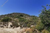 5017 SQM Land in Pano Kivides (Limassol) for sale 