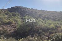 3551 SQM Land in Agios Tychonas (Limassol) for sale 