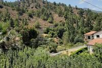 18452 SQM Land in Kakopetria (Nicosia) for sale 
