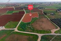 8731 SQM Land · Xylofagou (Larnaca) for sale 