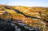 5352 SQM Land · Amargeti (Paphos) for sale 