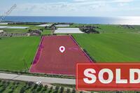 12246 SQM Land in Mazotos (Larnaca) for sale 