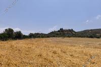 20556 SQM Land · Goudi (Paphos) for sale 