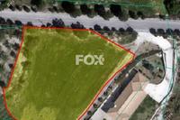 2772 SQM Land · Nata (Paphos) for sale 