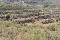 6021 SQM Land in Pachna (Limassol) for sale 