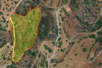 10664 SQM Land in Lageia (Larnaca) for sale 