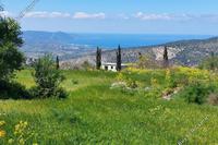23000 SQM Land in Poli Chrysochous (Paphos) for sale 