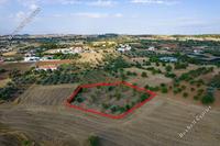 2007 SQM Land · Klirou (Nicosia) for sale 