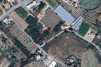 1630 SQM Land in Argaka (Paphos) for sale 
