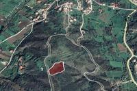 4250 SQM Land in Kato Pyrgos (Nicosia) for sale 