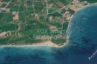 10703 SQM Land in Mazotos (Larnaca) for sale 