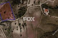 11496 SQM Land · Marathounta (Paphos) for sale 