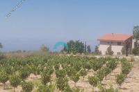 3345 SQM Land in Ineia (Paphos) for sale 