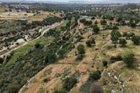 12710 SQM Land in Pachna (Limassol) for sale 