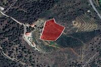 6021 SQM Land in Agios Epifanios Oreinis (Nicosia) for sale 