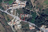 1463 SQM Land · Argaka (Paphos) for sale 