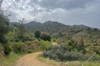 9304 SQM Land in Gourri (Nicosia) for sale 