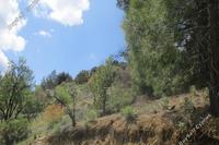 3679 SQM Land · Kaminaria (Limassol) for sale 