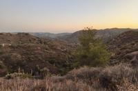 11039 SQM Plot in Pano Lefkara (Larnaca) for sale 