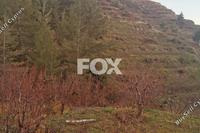 6355 SQM Land in Dymes (Limassol) for sale 