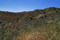 7349 SQM Land · Kapedes (Nicosia) for sale 