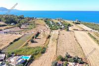 4463 SQM Land in Poli Chrysochous (Paphos) for sale 