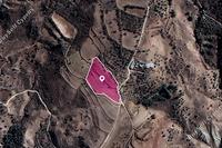 12041 SQM Land in Kelokedara (Paphos) for sale 