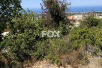 6247 SQM Land in Tala (Paphos) for sale 