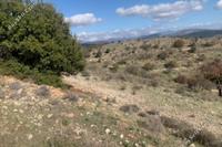 10368 SQM Land in Nata (Paphos) for sale 