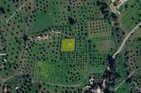 1350 SQM Land in Kornos (Larnaca) for sale 