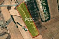19566 SQM Land in Kouklia Pafou (Paphos) for sale 