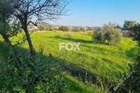 9040 SQM Land in Parekklisia (Limassol) for sale 