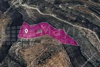 143145 SQM Land · Sotira Lemesou (Limassol) for sale 
