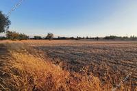 8362 SQM Land in Agios Silas (Limassol) for sale 