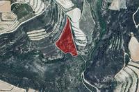 10606 SQM Land in Omodos (Limassol) for sale 