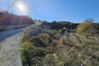 11372 SQM Land in Lemona (Paphos) for sale 