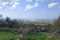 2670 SQM Land · Mesa Chorio (Paphos) for sale 