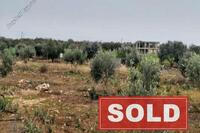 1697 SQM Land in Paralimni (Famagusta) for sale 