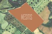16296 SQM Land · Tseri (Nicosia) for sale 