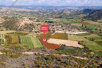 7693 SQM Land in Pissouri (Limassol) for sale 