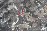 5686 SQM Land in Trahipedoula (Paphos) for sale 