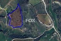 10368 SQM Land in Kato Akourdalia (Paphos) for sale 