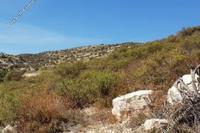3679 SQM Land · Koilani (Limassol) for sale 