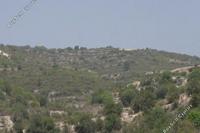6689 SQM Land in Koilani (Limassol) for sale 
