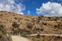 3679 SQM Land · Koilani (Limassol) for sale 