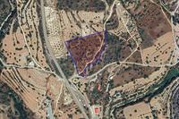 12710 SQM Land in Paramytha (Limassol) for sale 