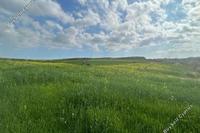 14382 SQM Land · Geri (Nicosia) for sale 