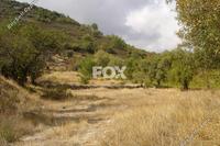 6523 SQM Land · Pera Pedi (Limassol) for sale 