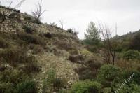 4348 SQM Land in Arminou (Paphos) for sale 