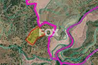8696 SQM Land in Agios Mamas (Limassol) for sale 